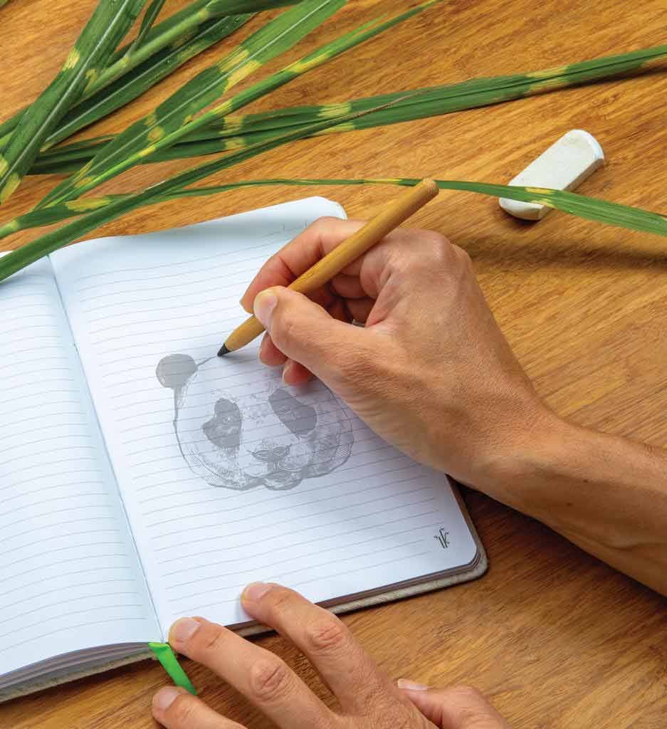 ETERNITY - eco-neutral Bamboo 100x Long Lasting Pencil - Image 3