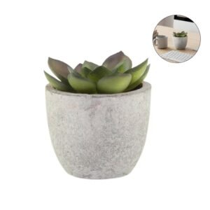 CAMAS - Artificial Succulent Plant in Pulp Pot